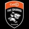 Sharks logo